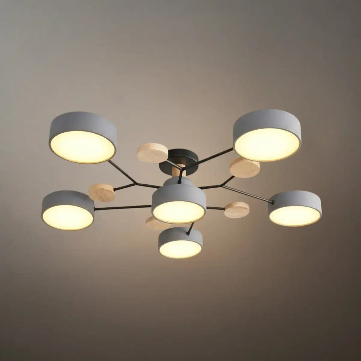 Modern_Round_Ceiling_Light